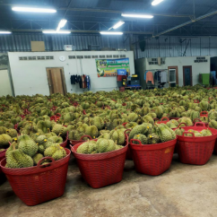 บริการรับสินค้า-ขนส่งสินค้าทุกประเภท