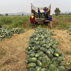 บริการขนย้ายอุปกรณ์สำหรับทำการเกษตร